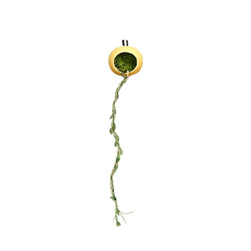 nGgO nCh }Olbg - nGgOp nEX B | B ANZT[  Jf ^঒ ߑp