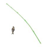 FONDOTIN アフィッ ロッド 缸装飾 生 生 と 水槽にな レー 竿 景 景