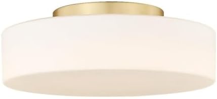 Golden Lighting 3136-FM BCB-OP TOLI - 16W 1 LED Flush Mount-4 Inches Tall and 12 Inches Wide, Finish Color: Brushed Champagne Bronze