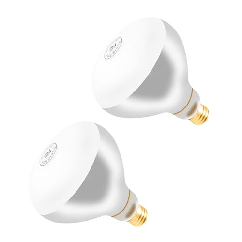 500W R40 120V Pool Light Bulb for Inground Pool & Spa – 3000K Warm White, E26 Base, High-Power, Compatible with Pentair & Hayward Fixtures, 3,000-Hour Lifespan (2 Pack)