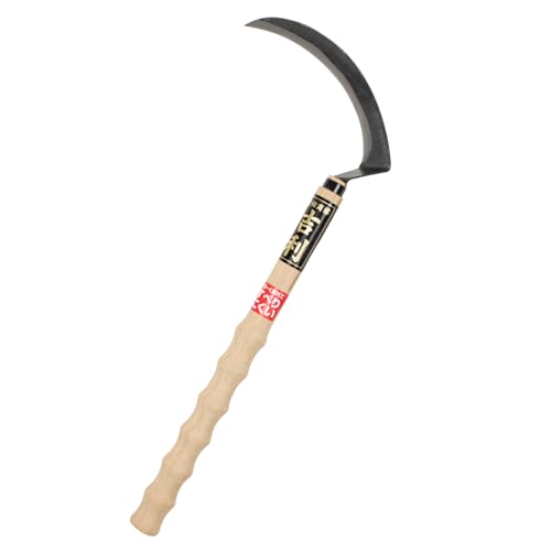 g j it ׂ Y { El jAt؂Ȃǂ̎n ɂ ₷ ∬͂̎ア