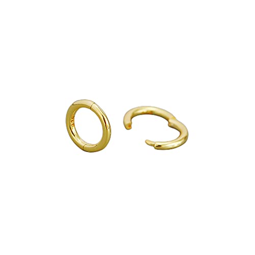 Minimalist Endless Small Hoop Earrings 925 Sterling Silver for Women Girls Hypoallergenic 14g Tiny Cartilage Huggie Hoops Helix Septum Nose Rings Daith Tragus Fashion Polished Body Piercing Jewelry (Gold 6mm)