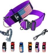 Tactical Dog Collar 2 Inch Wide & Heavy Duty PVC-Coated Leash with Frog Clasp, Strong Double-Layered Nylon Collar & Waterproof Silicone Coated Lead for Large Dogs, Secure Quick Release Design, K9 Gear