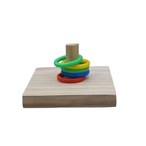 Poonch Pet Store Brain Stimulating Ring Toy For Budgies Cockateil Lovebird And Other Parrot Color Ring Game