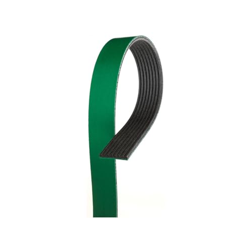 IEPHRAINO Serpentine Drive Belt for Western Star 6900XD 14.0L 2009 2010 2016, for Freightliner Century Class 14.0L 2008#Replace 0124587006, 202645 for Alternator, 1 piece