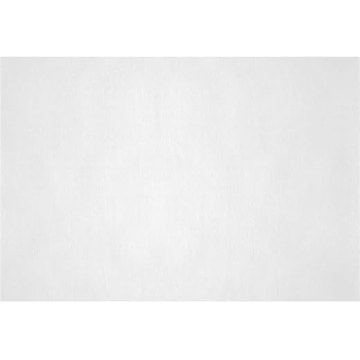 PRIETO LARREY - Pack 1000 Manteles Individuales de Papel Reciclado - Mantelines Reciclados - Ideal para Servicio a la Mesa - 30 x 40 cm (1000, Blanco)