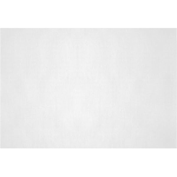 PRIETO LARREY - Pack 1000 Manteles Individuales de Papel Reciclado - Mantelines Reciclados - Ideal para Servicio a la Mesa - 30 x 40 cm (1000, Blanco)