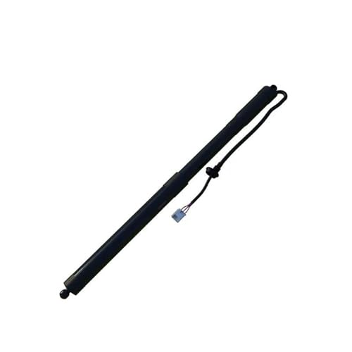 リフトサポート 車用テールゲートリフトサポート 電動パワーガスストラット に適合するRAV4 2019-2022 6892042020 689100R060(Right)