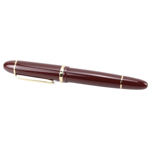 Stylo plume acrylique noir pointe fine F 0,5 mm pour calligraphie et écriture fine
