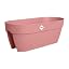 Powder Pink