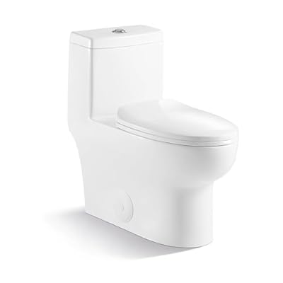 Casa Max 1-Piece 1.2/1.6 GPF Dual Flush Elongated Toilet in White Seat Included