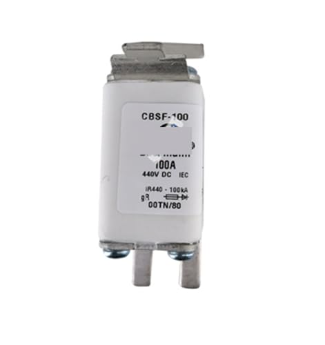 GBSF-100 fusible limiteur de courant blanc pour matériel connecté