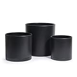 6.5 Inch 8 Inch 10 Inch, Set of 3 Plastic Planter Pots for Plants with Drainage Hole and Seamless...