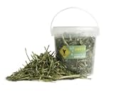 ORYCS Snack Aneth Complément Alimentaire pour Lapins et Rongeurs, 100% Naturel, Diurétique, 100g