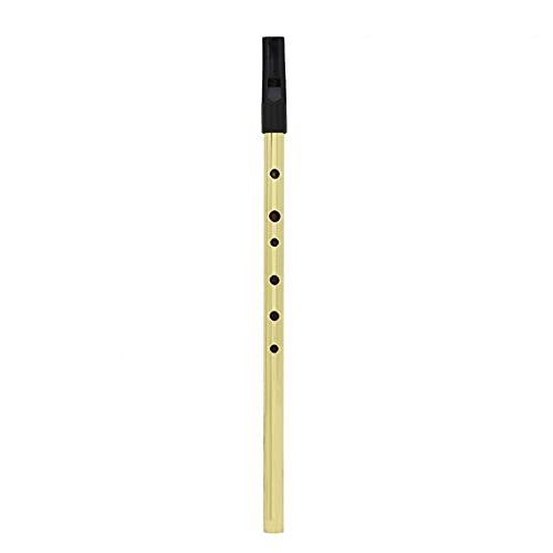 Flöte Irish Whistle Flöte D Key 6 Loch Klarinette Flöte Tin Penny Whistle Musikinstrument aus vernickeltem Messing