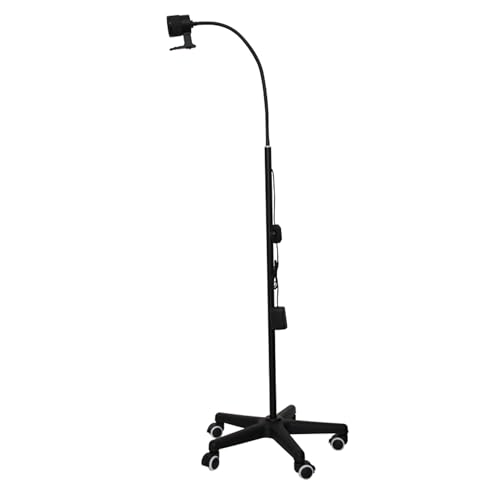 Lampe à col de cygne flexible LED pour examen gynécologique et chirurgical