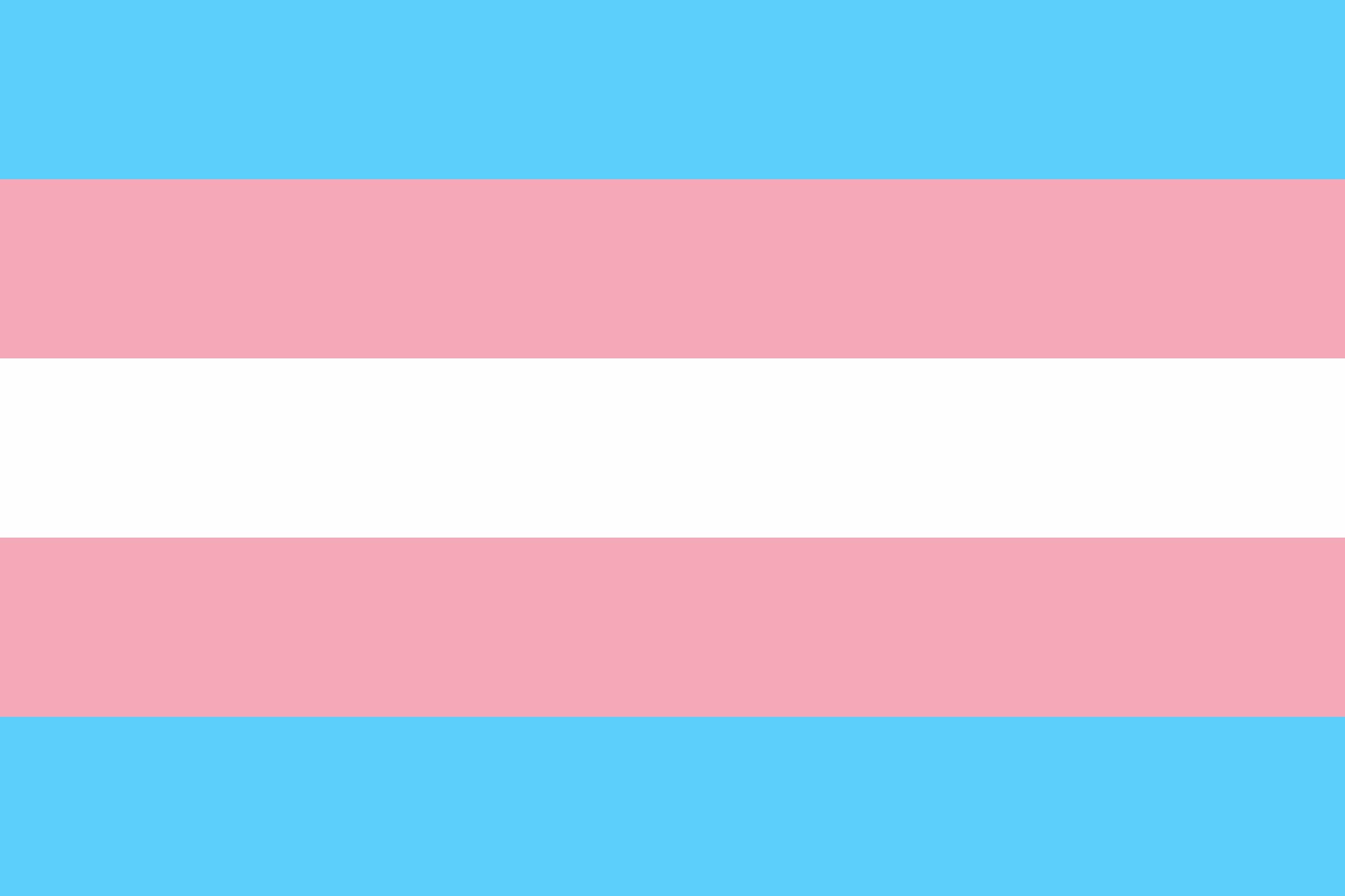 Drapeau transgenre grand format idéal pour manifester en collectif