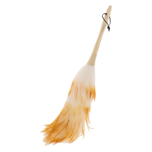 DONFAMDS Reusable Duster with Natural Clean Car Home and Office with This Dust Catcher Head