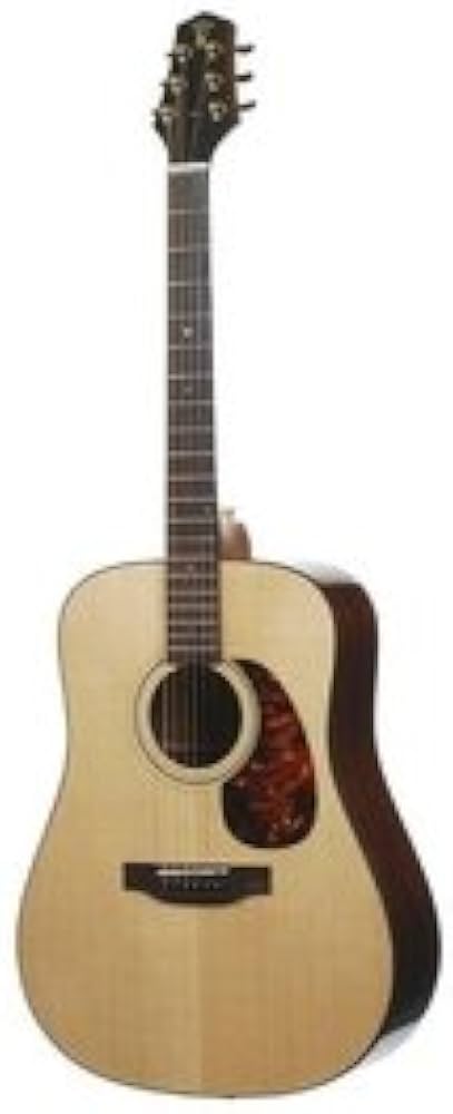 Amazon | Voyage-air Guitar（ボヤージ エアー ギター） Premier