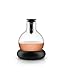 EVA SOLO | Cool Wine Decanter 25oz | All-in-one Carafe & Wine Cooler | Easy to Clean & Dishwasher-safe