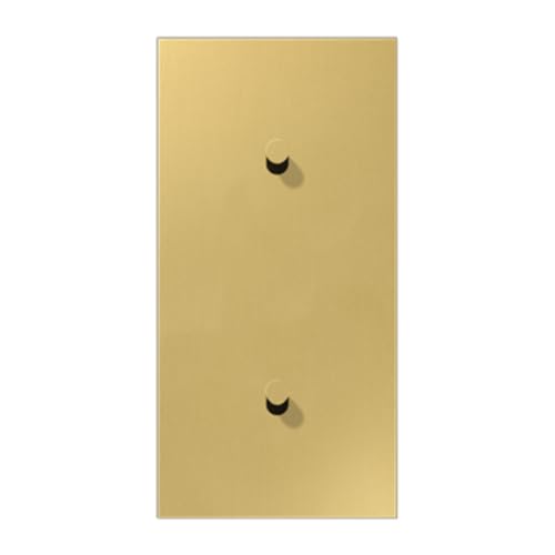 Placa vertical JUNG ME12-20CK25 soluciona la alineación de interruptores 2