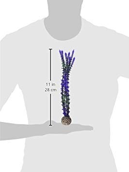 Image of biOrb Blue /Purple Plant Pack Medium
