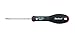 Blackhawk By Proto ST-PH00-2 Size-00 Phillips Screwdriver, 2-Inch