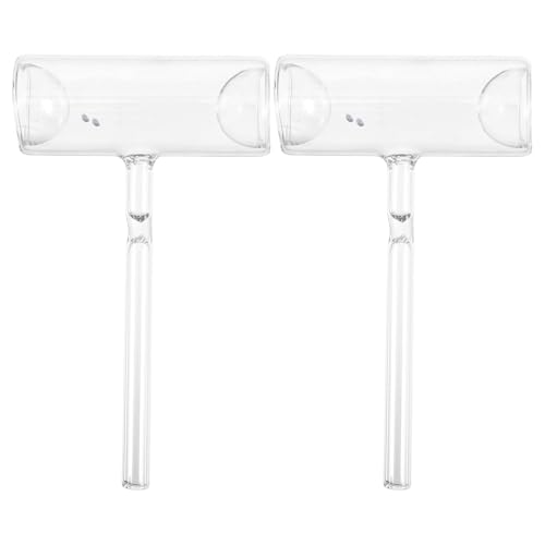 BESTYASH 2 piezas Dispositivo de Sublimación de Tubo de Vidrio Sellado Transparente para Experimentos de Física Escolar Laboratorio Educativo