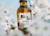 桜尾　シングルモルトウイスキー 700ml 43% シングルモルトジャパニーズウイスキー桜尾 43度 700ml＜箱付