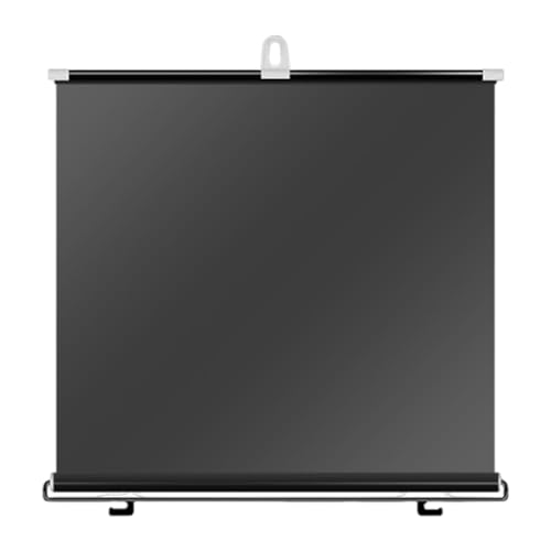 Parasol Cortina Retráctil Coche Delantero, Cortina Parasol Extensible para...