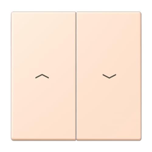 Touche double symbole volets LC32091 gérez vos stores JUNG LC995P228