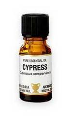 Cypress Pure Essential Oil 10ml in amber glass bottle by Amphora Aromatics