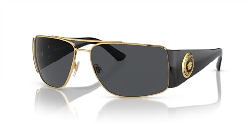 Versace Man Sunglasses Gold Frame, Dark Grey - Polar Lenses, 63MM