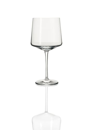 Schott Zwiesel Passionata Gin & Tonic Gläser Set of 2 | 700ml Kristallglas | Botanische Aromen & Zeitloses Design