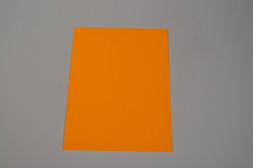 Compulabel 312197 Fluorescent Orange Address Labels For Laser Printers,4 X 2 Inch, Permanent Adhesive, 10 Per Sheet, 100 Sheets Per Carton #TOP1