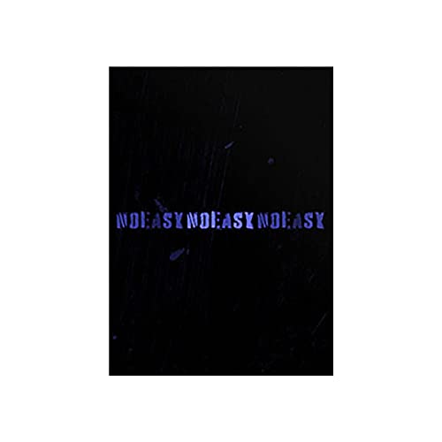 STRAYKIDS (NOEASY: B TYPE) 2nd Album CD+Unit Folded Poster+Photocards+Double Sided Photocard+Photobook+Sticker+Lyrics Book+(Extra 4 Photocards+1 Double-Sided Photocard+Pocket Mirror)