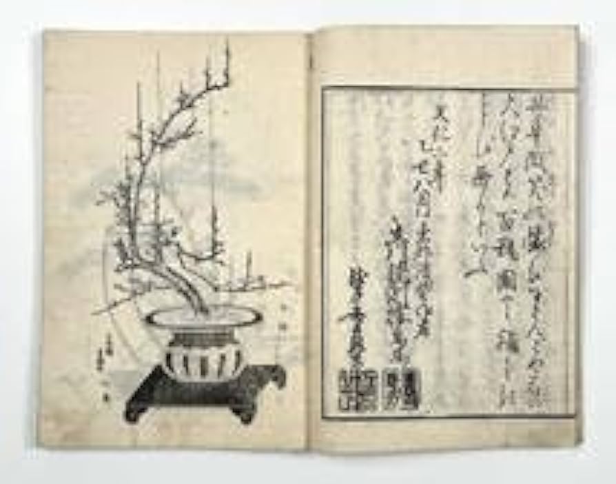 美品 江戸中期 手書き華道手本巻物◆三雅流挿花法式図（華道/いけばな）「遠州流」 Amazon.co.jp: 古典籍『遠州流挿花百瓶図式』上下巻揃い 文化3年