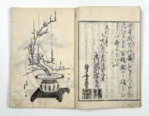 美品 江戸中期 手書き華道手本巻物◆三雅流挿花法式図（華道/いけばな）「遠州流」 美品 江戸中期 手書き華道手本巻物◇三雅流挿花法式図（
