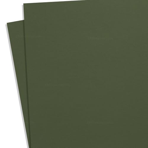 KYDEX Thermoform Sheet - (P1 Texture) - (.080 Thickness) - (8in x 12in) - (Ranger Green) - (2 Sheets) - DIY Holster Making, Airsoft Armor, Cosplay Uniforms, RC Models
