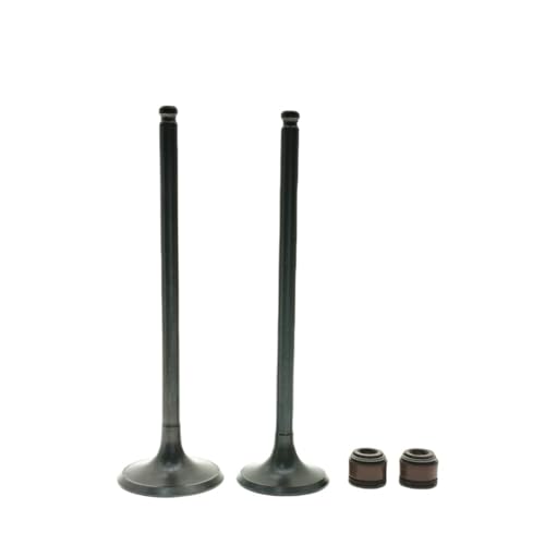 Joint d'huile de tige de soupape anti fuite compatible SR250 XDV250 X7 1paire