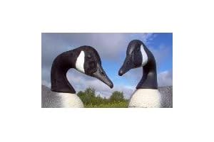 Fowl Flockers: Canada Goose Decoy Head Flocking Kit