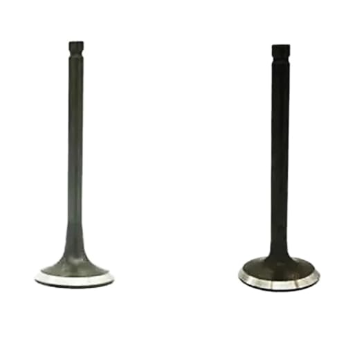 Soupapes de rechange EX21 EX17 pour fuite de compression