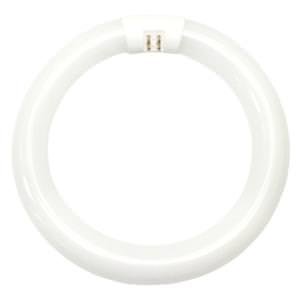 FC8T9/CW 22W T9 CIRCLINE