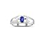Blue Star Gemstone