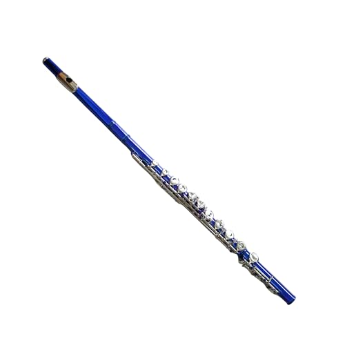 Image of Deloitte C Flute Closed Hole 16 Keys Nickel Plated, DFL-401, for Beginner Student Flute Instrument with Cleaning Kit, Carrying Case, Gloves, Tuning Rod (Sapphire)