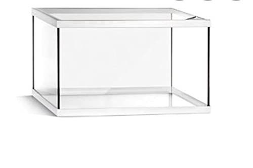 Acuario Pecera Akkua 38 Litros Kit Completo Acuario Pecera Akkua 38 Litros Kit Completo