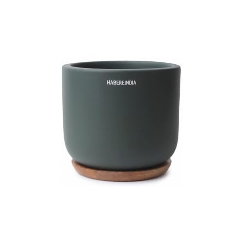Image of Habere India-All the Cultures Fabricating India Plant Pot with Wooden Plate | Flower Pots for Dining Table & Home Decor | Terracotta Pot for Living Room Decoration (Dark Gray, Dia11 x H9.5 cm)