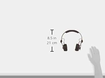 Amazon.co.jp: Sennheiser ゼンハイザー HD 25 PLUS 密閉型