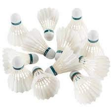 Gyronax A3 Feather Badminton Shuttlecock (Pack of 10), White (B07FTG779C) Amazon Price History, Amazon Price Tracker
