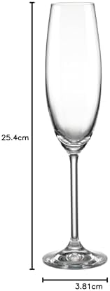 Lenox Tuscany Classics Set, Champagne Flutes, Buy 4, Get 6, 6 Count (Pack of 1), Clear,8 Ounces.